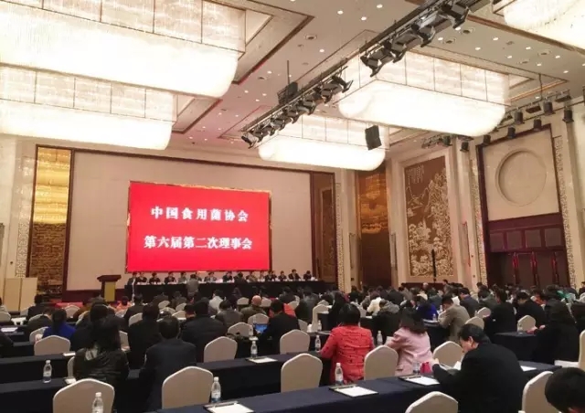 專(zhuān)題報(bào)道