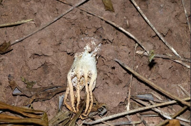 圖片關(guān)鍵詞 圖片關(guān)鍵詞