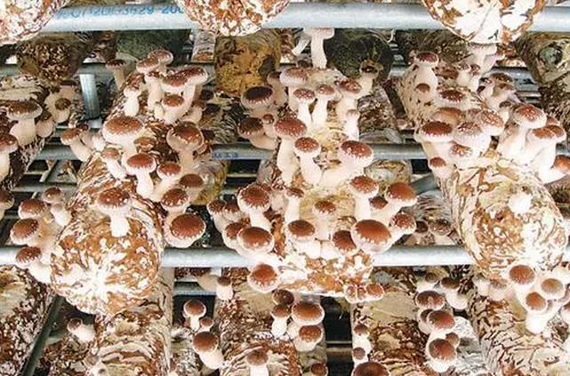 圖片關鍵詞 圖片關鍵詞