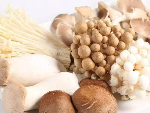 圖片關鍵詞 圖片關鍵詞