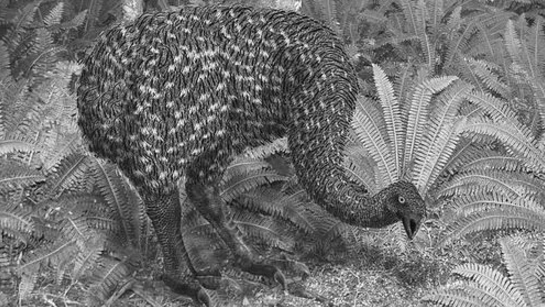 圖片關鍵詞 圖片關鍵詞