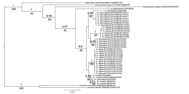 圖片關鍵詞 圖片關鍵詞