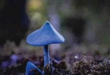 圖片關鍵詞 圖片關鍵詞