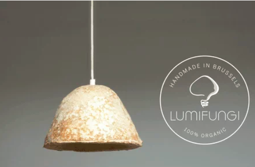 圖片關鍵詞 http://m.dgyfmeihejin.cn/ewebeditor/uploadfile/20180727085601461001.png