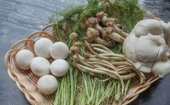 圖片關鍵詞 圖片關鍵詞