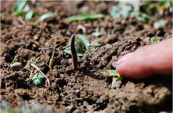 圖片關鍵詞 http://m.dgyfmeihejin.cn/ewebeditor/uploadfile/20180921101313325001.png