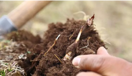 圖片關鍵詞 http://m.dgyfmeihejin.cn/ewebeditor/uploadfile/20180921101228689001.png