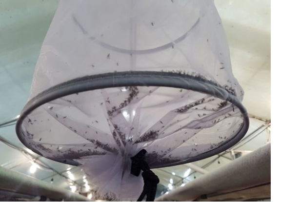 圖片關(guān)鍵詞 圖片關(guān)鍵詞