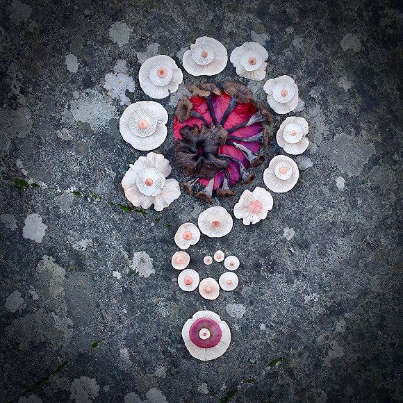 圖片關鍵詞 http://img1.jiemian.com/jiemian/original/20171123/151141526673138600_a580xH.jpg