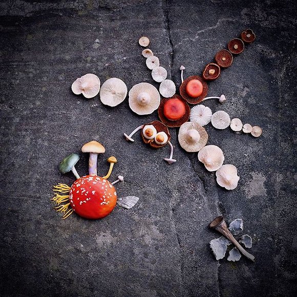 圖片關鍵詞 http://img3.jiemian.com/jiemian/original/20171123/15114150755042400_a580xH.jpg