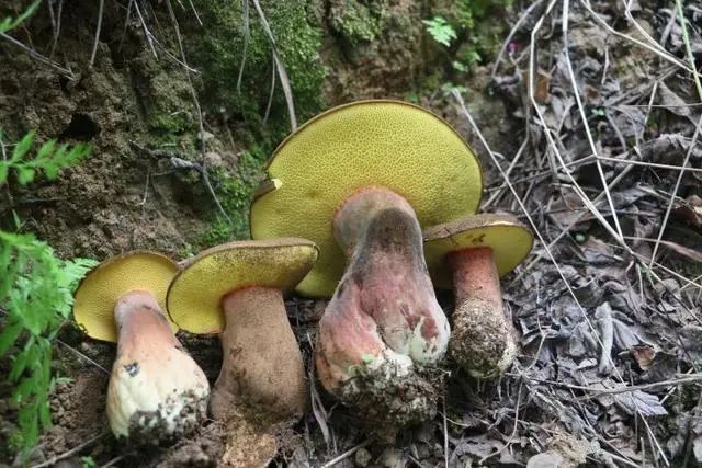 圖片關(guān)鍵詞 圖片