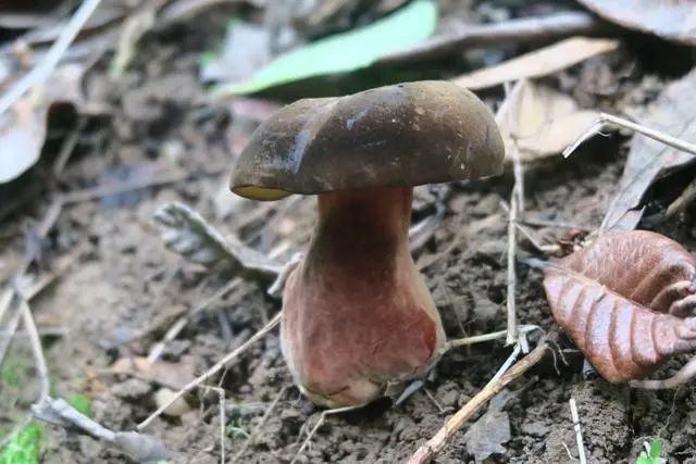 圖片關(guān)鍵詞 圖片