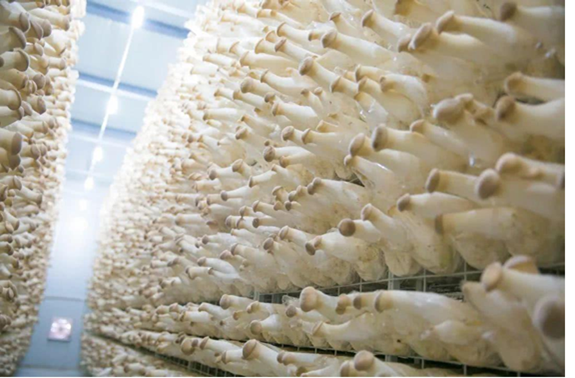 圖片關鍵詞 圖片關鍵詞