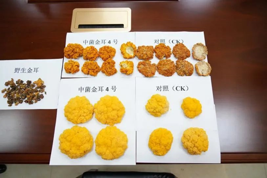 圖片關鍵詞 圖片關鍵詞