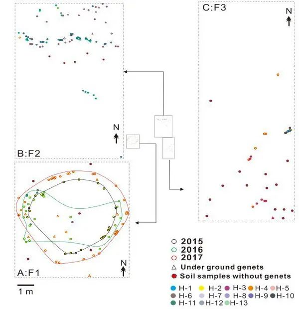 圖片關鍵詞 圖片關鍵詞