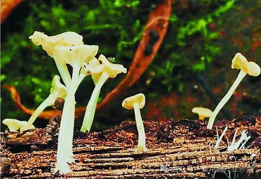 圖片關鍵詞 圖片關鍵詞