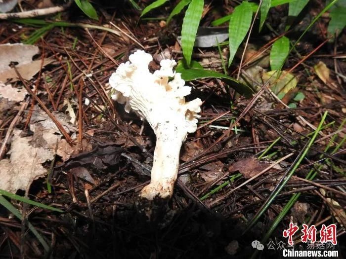 圖片關(guān)鍵詞 圖片關(guān)鍵詞