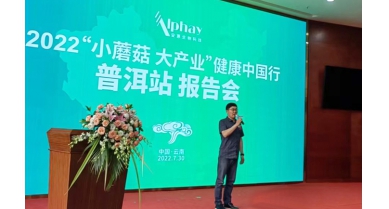 專(zhuān)題報(bào)道