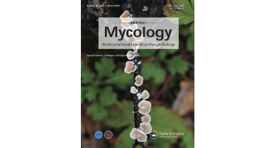 行業(yè)動(dòng)態(tài)