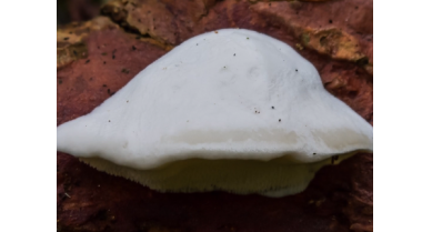 行業(yè)動(dòng)態(tài)