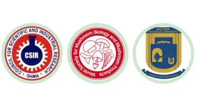 行業(yè)動(dòng)態(tài)