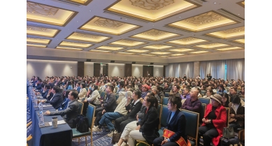 專(zhuān)題報(bào)道